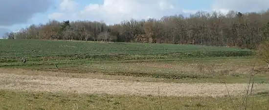 Vue panoramique d'un champ marqué par un ressaut linéaire.