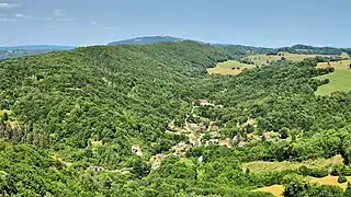 La combe des Mercureaux sur la rive « sauvage » et plus préservée du Doubs, avec en arrière-plan l'antenne-relais de Montfaucon.