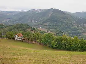 Radoševo