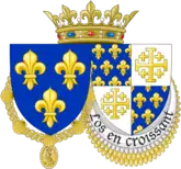 Charles VIII (roi de France)
