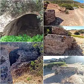 Image illustrative de l’article Arsenaria