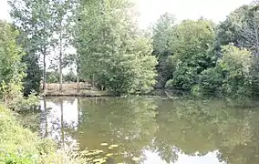 L’assemblée des « Deux Lays »