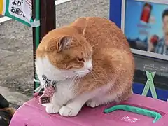 L'assistant Chibi en novembre 2007.