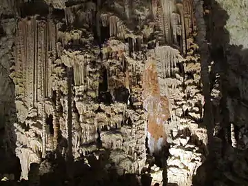 « Buffet d'orgues ».