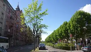 Vue de l’avenue avec l’Hôtel des mines à gauche.
