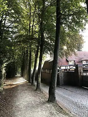 Image illustrative de l’article Avenue de la Clairière