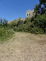 Vestiges du château des Roches-Tranchelion(2015)