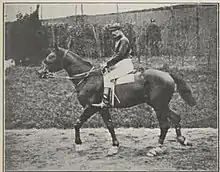 Photographie noir et blanc d'une cheval de course vu de profil.