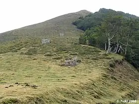 Image illustrative de l’article Col Bagargui