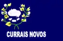 Drapeau de Currais Novos