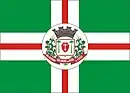 Drapeau de São Miguel do Oeste