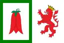 Drapeau de Araucoville et commune du Chili