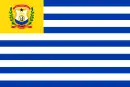 Drapeau de El Tigre