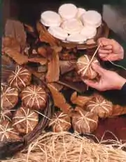 Tommes de fromage Banon