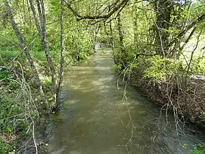 La Beauronne en aval du pont de la RD 710, en limite de Périgueux (à gauche) et Marsac-sur-l'Isle.