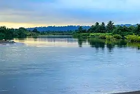 West Coast (Cameroun)