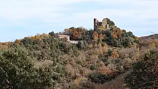 Le Château de Belcastel (Aude).