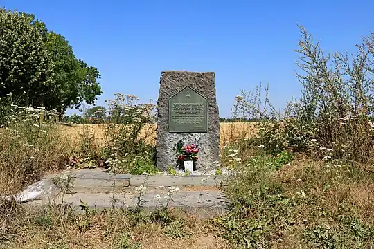 Vue générale du site.