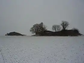 Image illustrative de l’article Tumuli de Seron