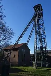 Belle Fleur de Bas-Bois