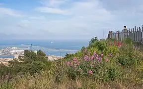 Vue d'une partie de la ville de Sète depuis le belvédère du Mont Saint-Clair.