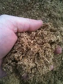 Drêches ensilées, formant une sorte de broyat marron, dans une main.