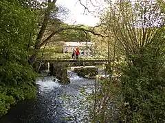 la Biesmelle à Thuin