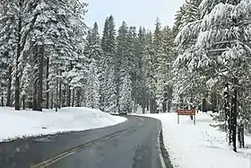 Image illustrative de l’article Big Oak Flat Road