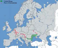 Carte d'Europe avec une large tache verte à l'ouest de la mer Noire et des pointillés rouges montant vers le nord ouest