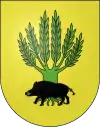 Blason