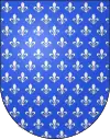 Blason
