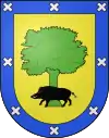 Blason