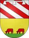 Blason