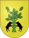 Blason