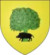 Blason