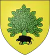 Blason