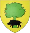 Blason