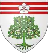 Blason de Gué-d'Hossus