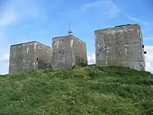 Les trois socles des treillages du Mammut.