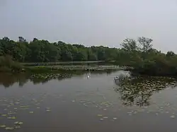 La rivière Romme rejoint la boire de Champtocé.