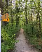 L'entrée du bois depuis l'avenue de la Foretaille.