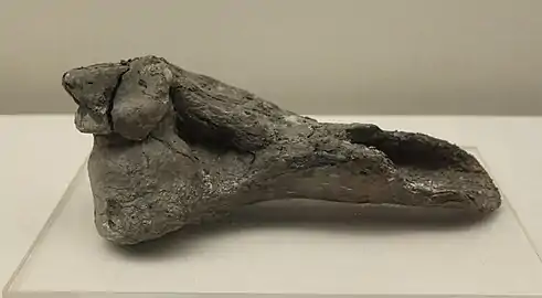 Bêche dans un humérus de gros animal, (L. 24 cm)Site de Bashidang. Musée du Hunan.