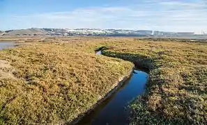 Border Field State Park (en)