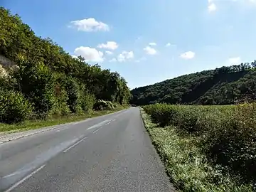 La RD 62 à Borrèze, en vallée de la Borrèze, à l'ouest du lieu-dit la Pouyade. Les coteaux sur la droite font partie du territoire de Salignac-Eyvigues.