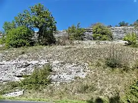 Image illustrative de l’article Coteaux calcaires du secteur de Borrèze