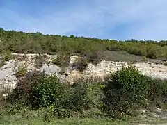 Coteau au nord de la RD 62, à l'ouest du lieu-dit les Champs.