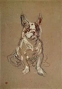 Esquisse d'un bouledogue français assis