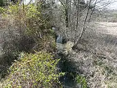 Le Boulou à La Chapelle-Montmoreau.