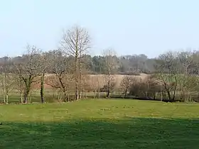 Image illustrative de l’article Vallée et coteaux du Boulou