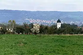 Brücken-Hackpfüffel